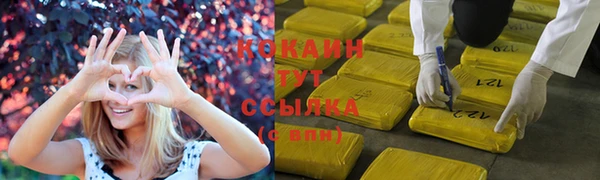 ECSTASY Богданович