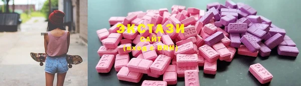 ECSTASY Богданович