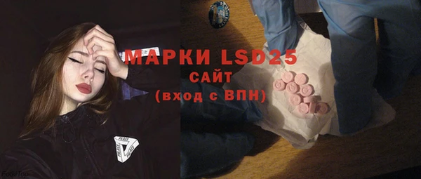 ECSTASY Богданович