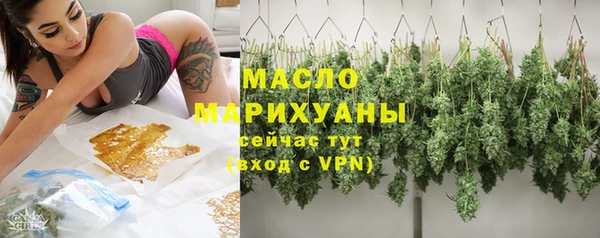 ECSTASY Богданович