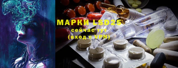 ECSTASY Богданович