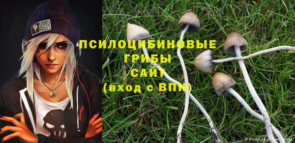мяу мяу мука Богородицк