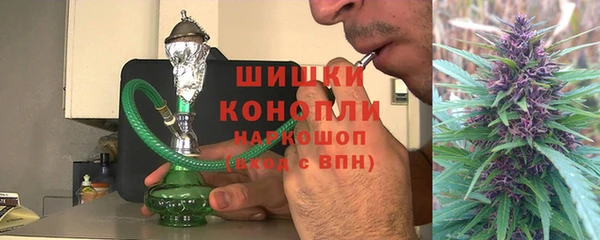 ECSTASY Богданович