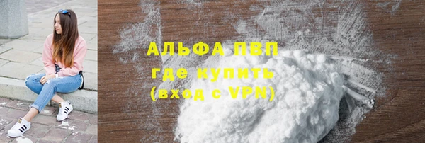 ECSTASY Богданович